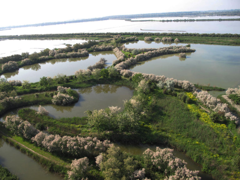 Al via AquaFarm, protagoniste acquacoltura e algocoltura