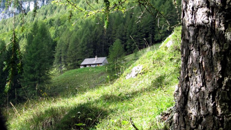 Il sapere alchemico degli antichi carbonai (Il video)