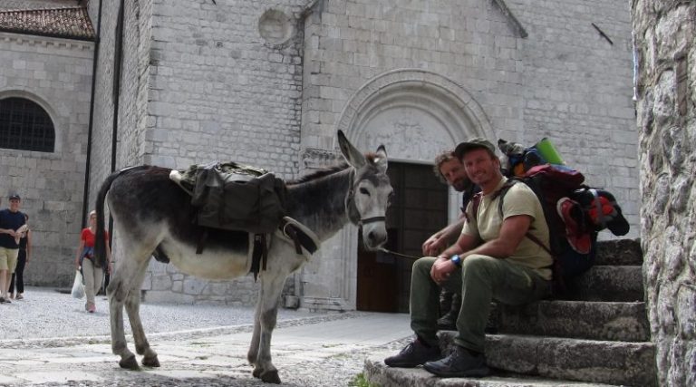 Trekking con gli asini in Fvg. Da Pordenone parte un progetto