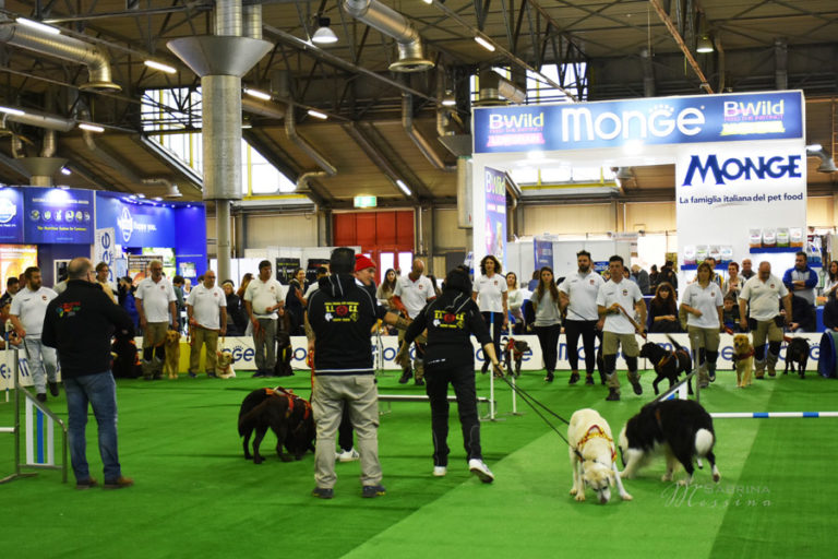 Prima volta a Pordenone per la fiera My Fantastic Pets