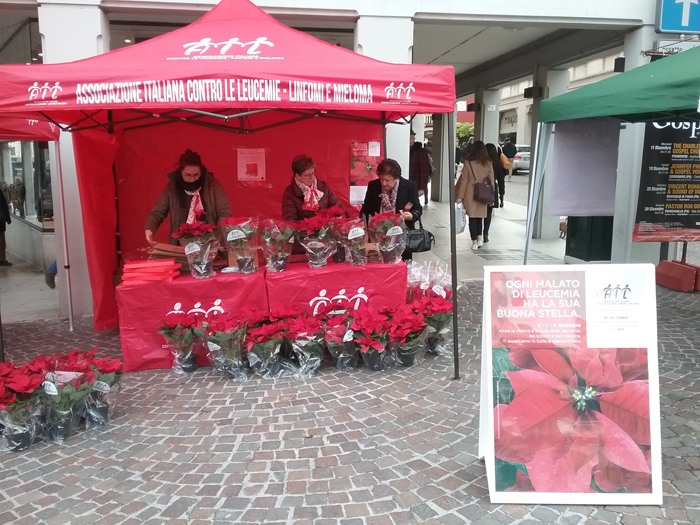 Ail, successo per le postazioni Stelle di Natale in centro