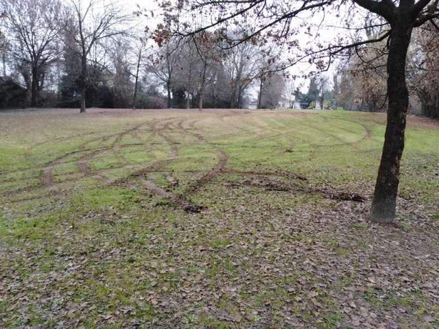 Parco Roraigrande, evoluzioni teppistiche con l’auto