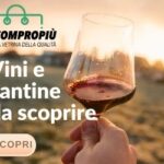 Vini e cantine da scoprire